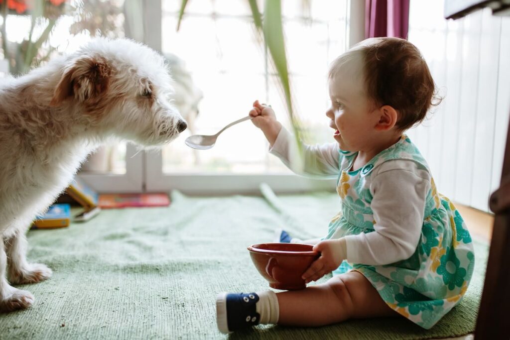 Most Popular Digital Ads: Dogs, Cats, Pranks, and… Babies?